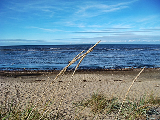 Strand i Båstad