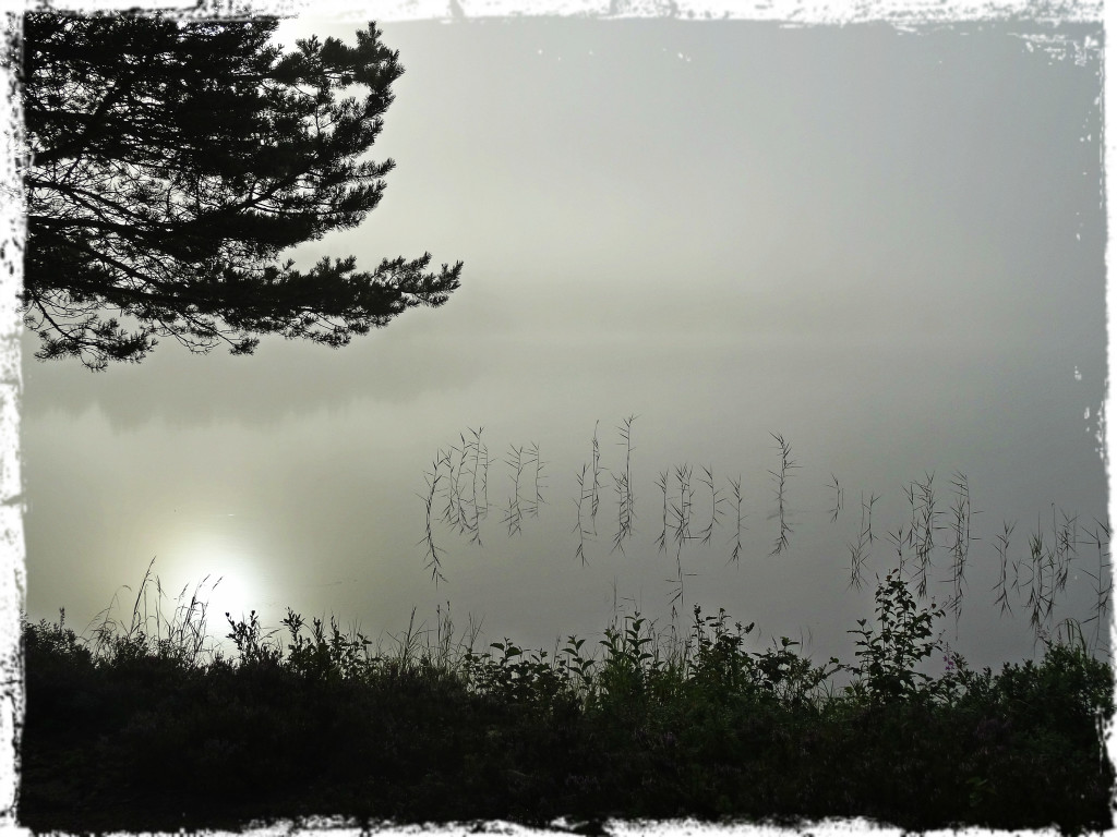 Vaknade upp till morgondis över sjön där jag övernattat på vägen hem. 
